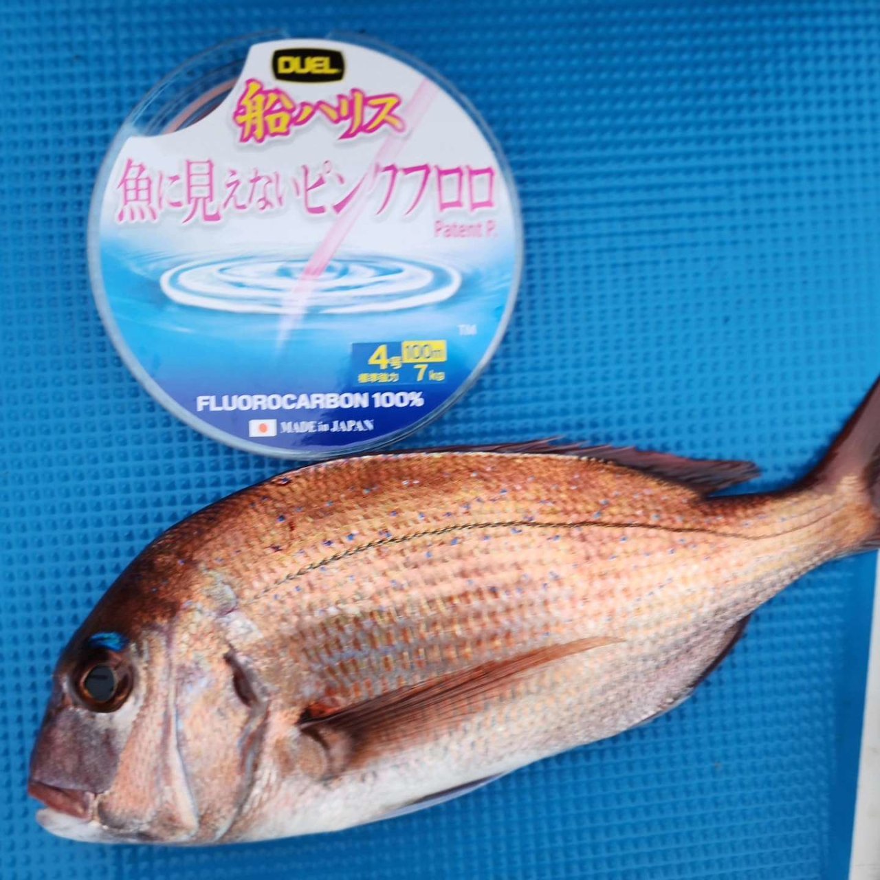 八王子店の釣り情報｜つり具の上州屋 - あなたのフィッシング