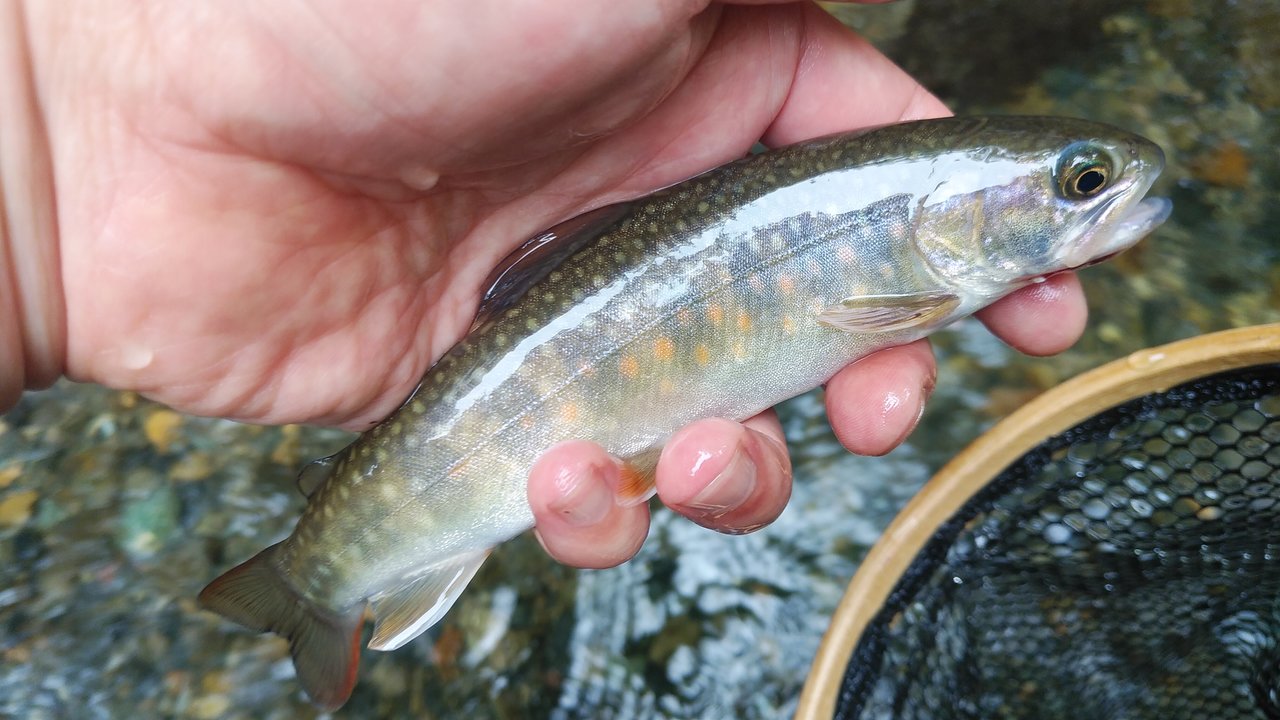 新潟赤道店の釣り情報｜つり具の上州屋 - あなたのフィッシング＆アウトドアライフをサポート