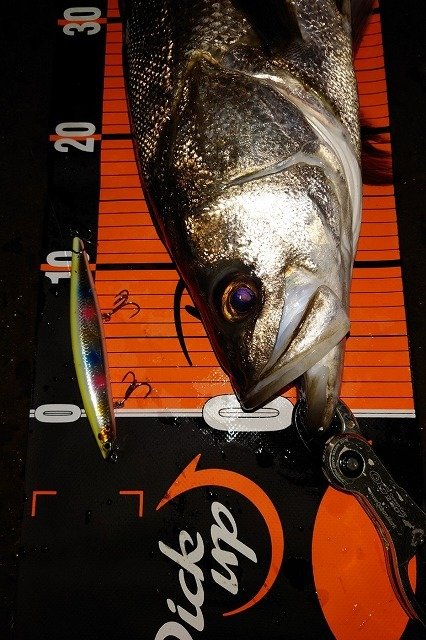 名取店の釣り情報｜つり具の上州屋 - あなたのフィッシング