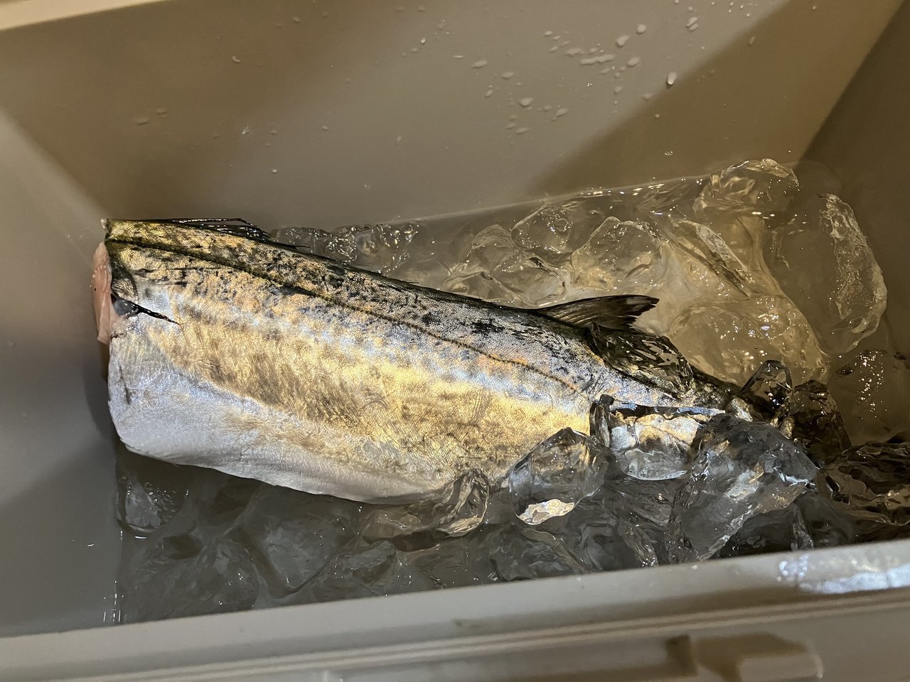 上州屋釣り情報｜つり具の上州屋 - あなたのフィッシング＆アウトドア