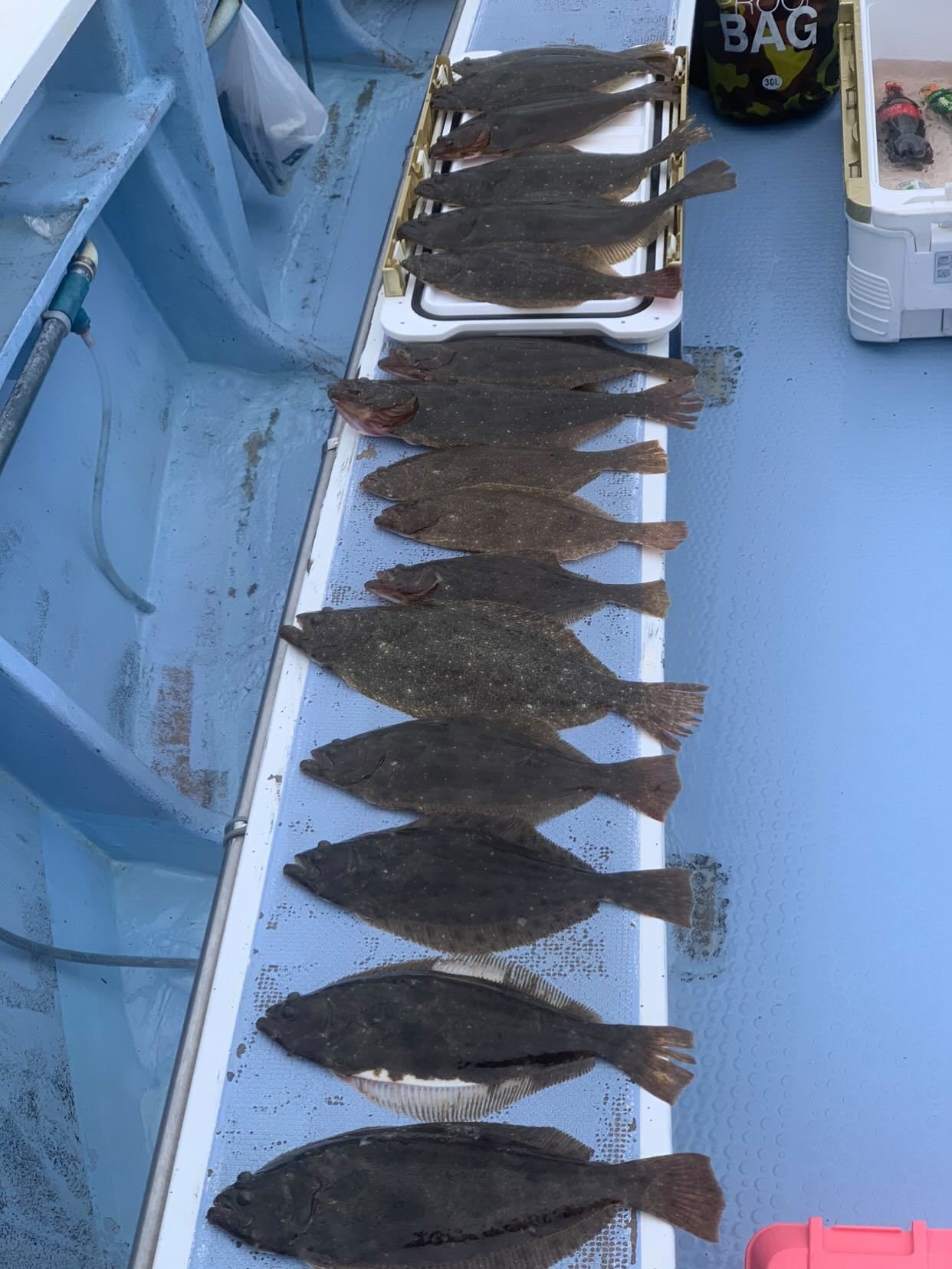 上州屋釣り情報｜つり具の上州屋 - あなたのフィッシング＆アウトドア