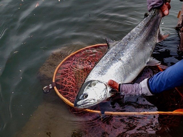 東大和店の釣り情報｜つり具の上州屋 - あなたのフィッシング