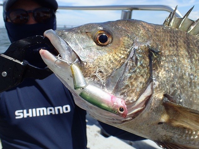 釣り好き 東大和店の釣り情報｜つり具の上州屋 - あなたのフィッシング