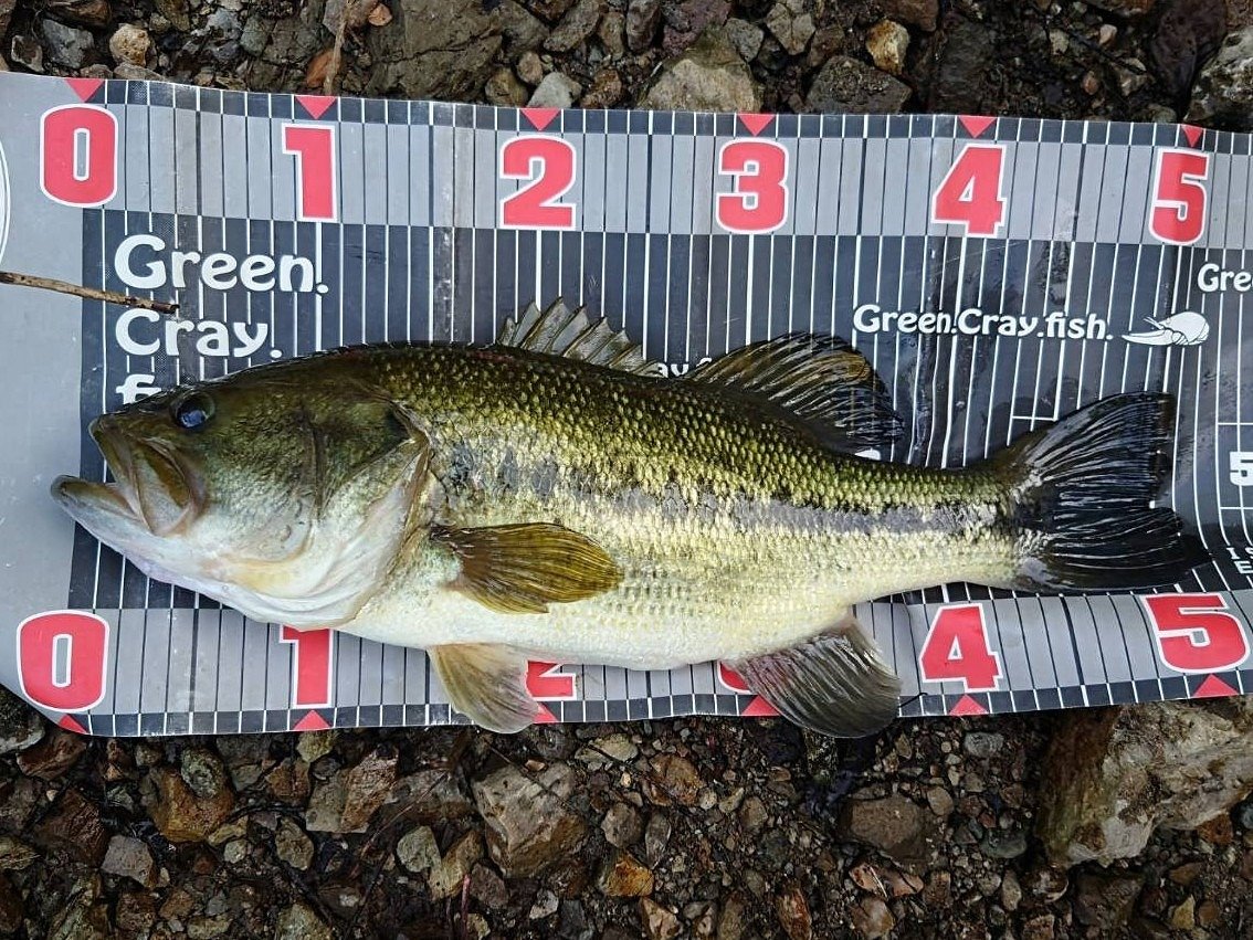 会津若松店の釣り情報｜つり具の上州屋 - あなたのフィッシング