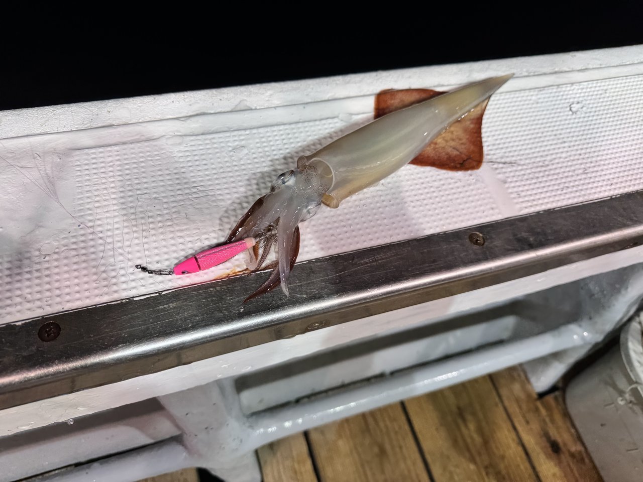 新盛岡店の釣り情報｜つり具の上州屋 - あなたのフィッシング