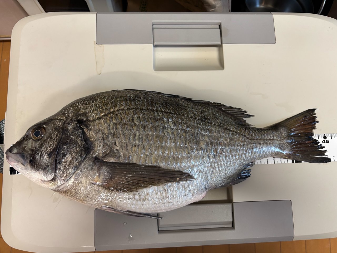川中島 川中島店 | 長野トヨタ