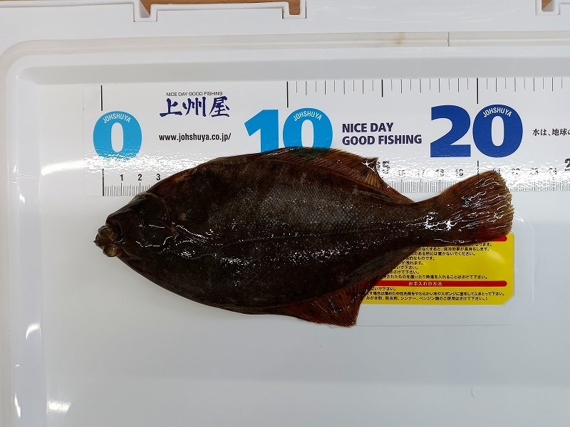 横須賀中央店の釣り情報｜つり具の上州屋 - あなたのフィッシング