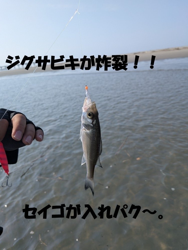 浜松店の釣り情報｜つり具の上州屋 - あなたのフィッシング