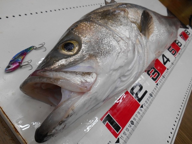 つり具の上州屋 - あなたのフィッシング＆アウトドアライフをサポート