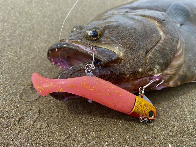 つり具の上州屋 - あなたのフィッシング＆アウトドアライフをサポート