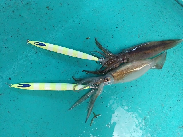 つり具の上州屋 - あなたのフィッシング＆アウトドアライフをサポート