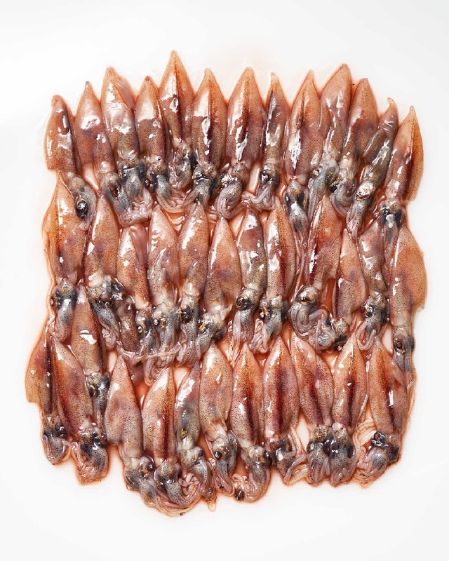 大アマ・シロアマ狙いに！！