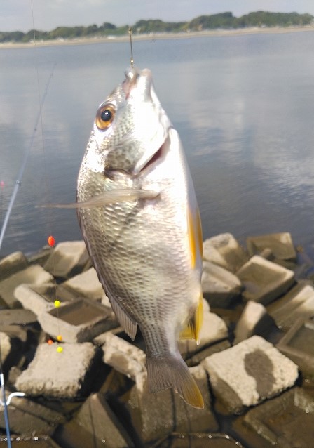 つり具の上州屋 - あなたのフィッシング＆アウトドアライフをサポート