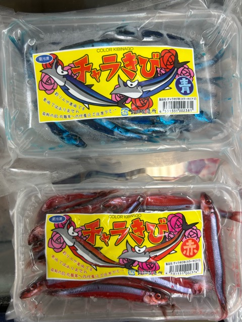 あっきーな様　豊場惺也　作　染付　向付　鯰　5客セット ヤマハコンサートグランドピアノ「CFX」新モデルとプロジェクション