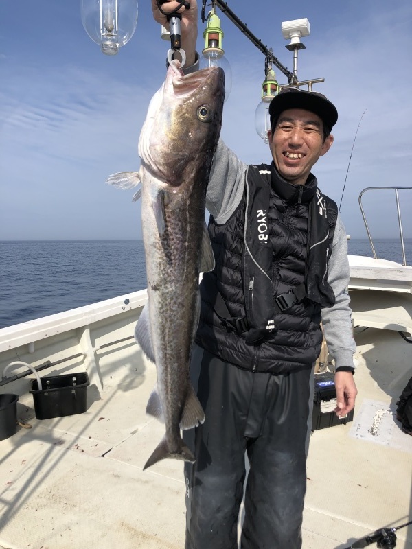 珍客タラも釣れました！新鮮なタラはプリプリで美味しいですよ♪
