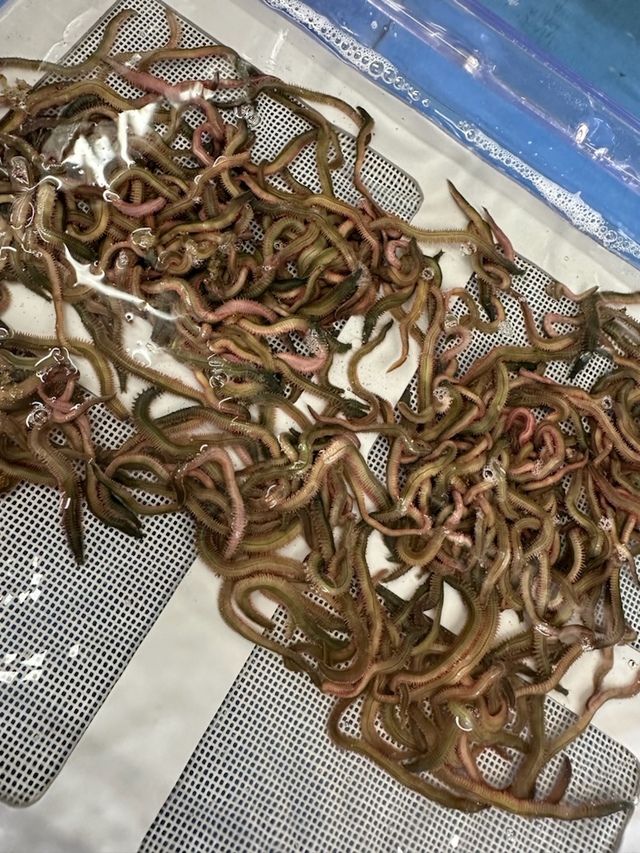 つり具の上州屋 - あなたのフィッシング＆アウトドアライフをサポート