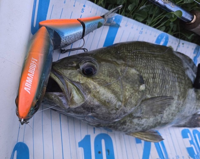 つり具の上州屋 - あなたのフィッシング＆アウトドアライフをサポート