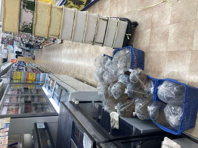 横浜南部市場店（南部市場駅前店）のショップニュース｜つり具の上州屋 - あなたのフィッシング＆アウトドアライフをサポート