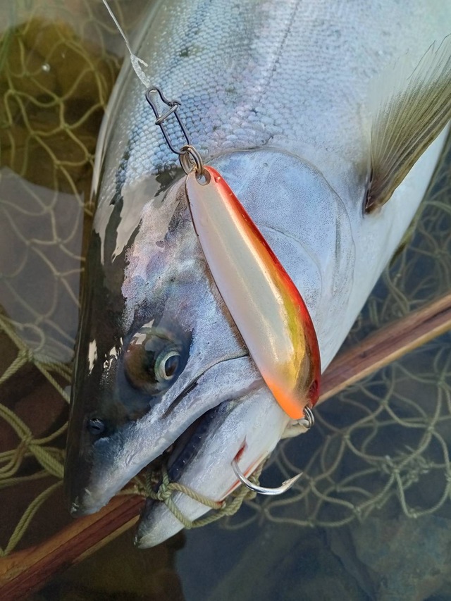 つり具の上州屋 - あなたのフィッシング＆アウトドアライフをサポート