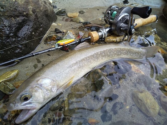 つり具の上州屋 - あなたのフィッシング＆アウトドアライフをサポート