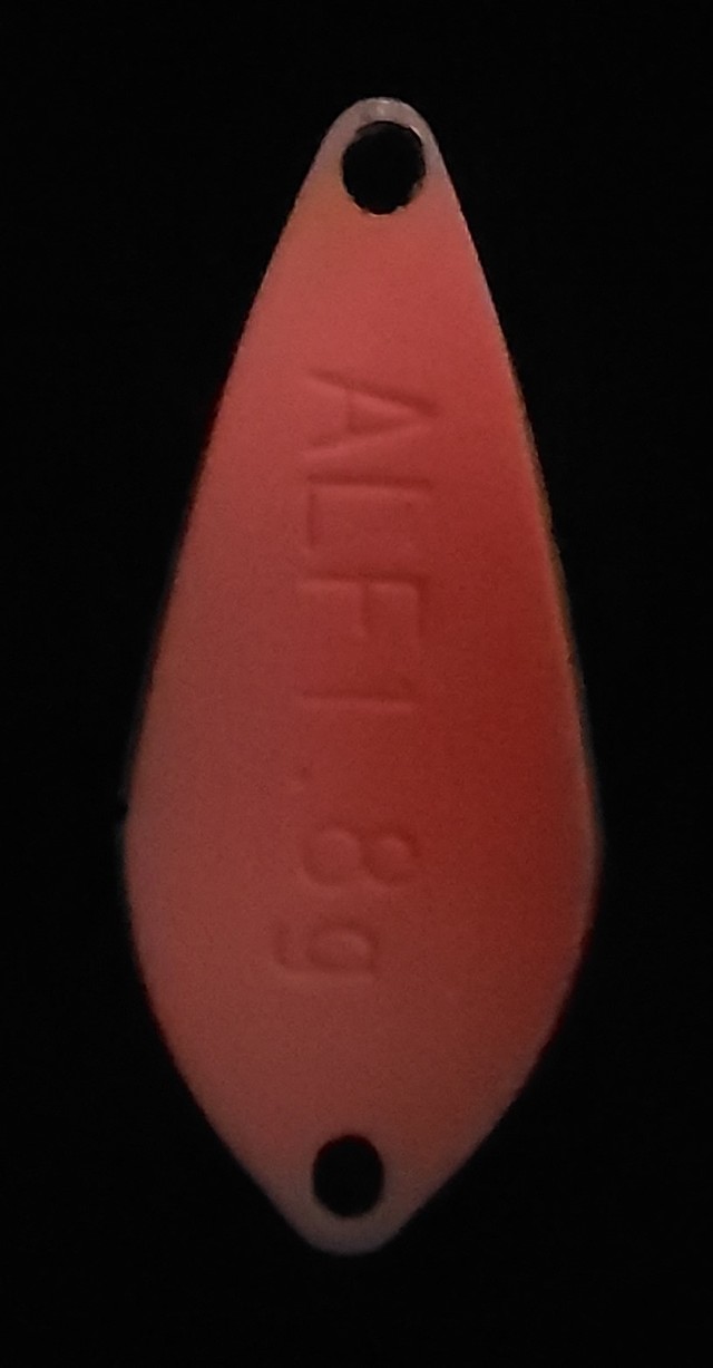 まだ光がある状態でも光ってるのが分ります。