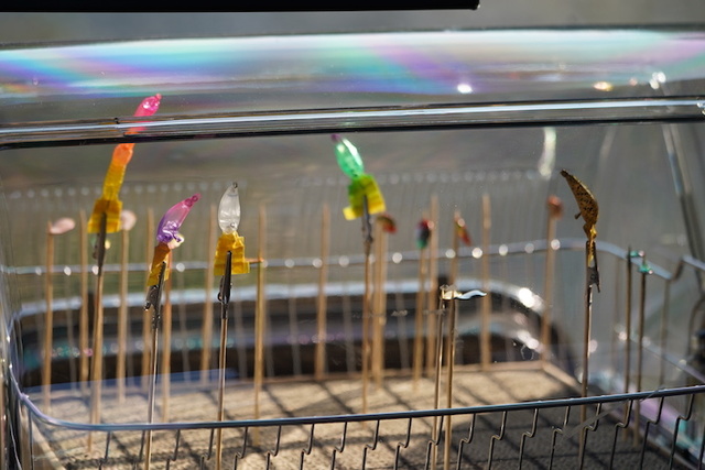 5月10日上州屋高崎店入口前駐車所にて開催！