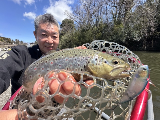 ブラウントラウト連発！トラウトにも好反応は予想を越えました!今度川場のイトウ狙いに持ってこ(^^)!