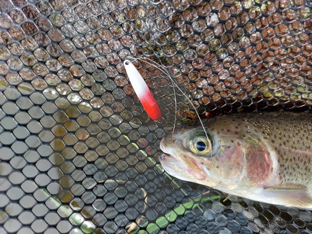 エリアトラウトではアイジェットソードもリリースします(^^)高崎店オリカラSPICE BOMB