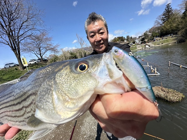 これがオリカライベントの目玉！ラプル高崎店オリカラKAZ-BAIT！ストライパーハンターとしてリリース！