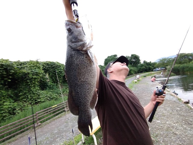 カズさんキャットフィッシュ！