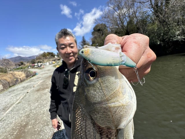 テスト釣行の好成績は流石昨年から釣り続けていたカラーと実感！皆様にも使ってもらいたい(^O^)／