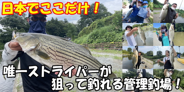 MAVの多彩なビッグゲーム楽しいですね!(^^)!