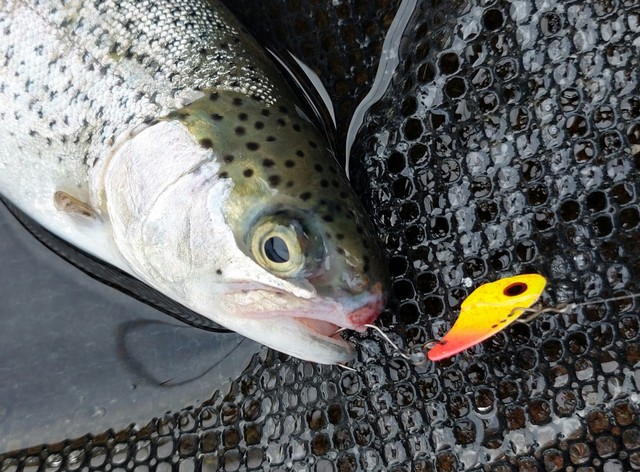 ゴットハンズ スタッカートVIBイベント限定チタンブレード1.9g NAKKARA