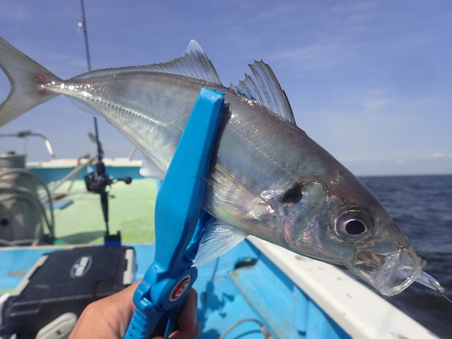 つり具の上州屋 - あなたのフィッシング＆アウトドアライフをサポート