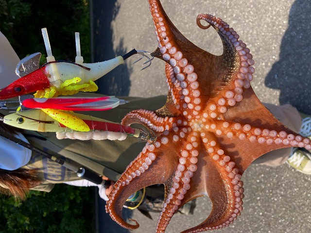 つり具の上州屋 - あなたのフィッシング＆アウトドアライフをサポート