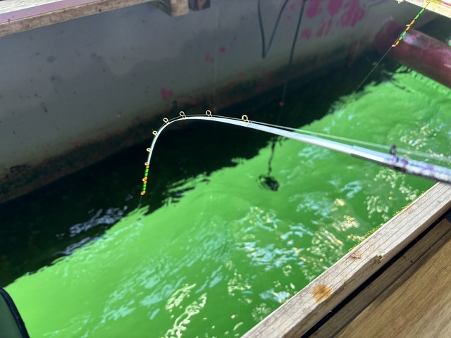 CREEK ERUZA #8 ワカサギ竿 Creek ERUZA#8 ワカサギ竿