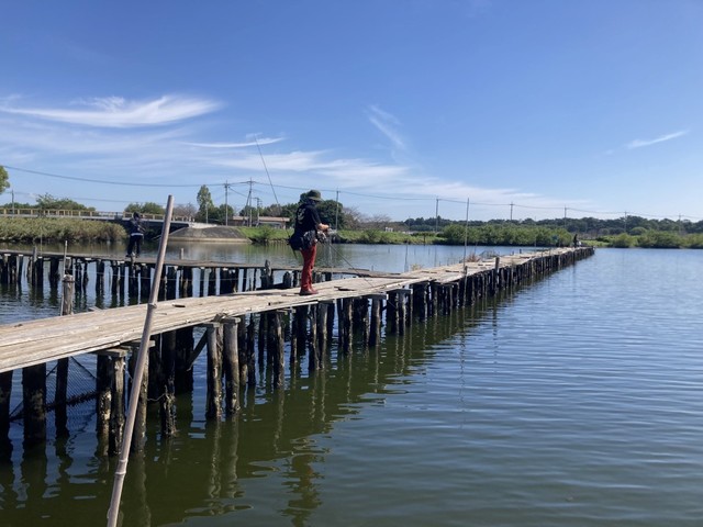 減水の感じはこのくらいでした。