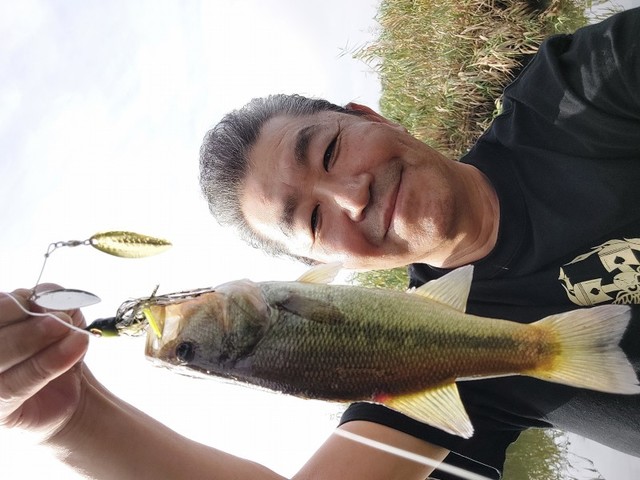 僕は孫兵衛川へ移動して葦際から巻いて来てHIT！