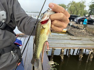 大室さんOSPドライブクローラーでHIT！