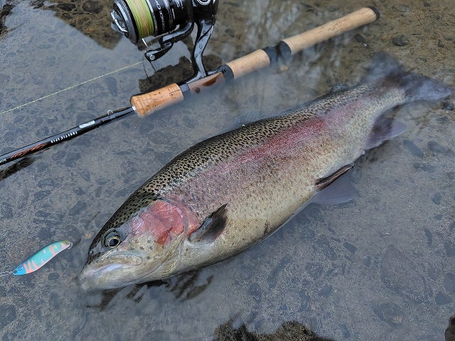 ビッグベイト6点セット つり具の上州屋 - あなたのフィッシング＆アウトドアライフをサポート