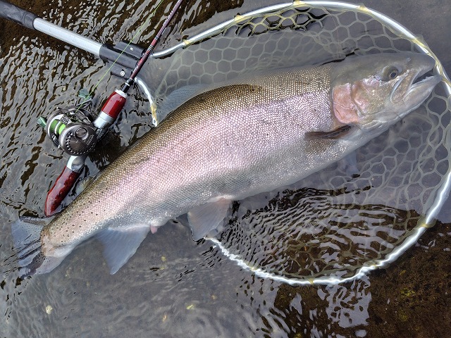 Special II 磯竿 3.53m & 4.50mセット Special II 磯竿 3.53m & 4.50mセット