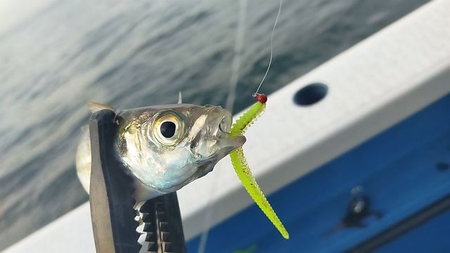 つり具の上州屋 - あなたのフィッシング＆アウトドアライフをサポート