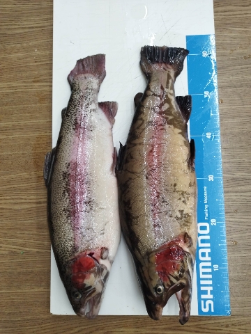 つり具の上州屋 - あなたのフィッシング＆アウトドアライフをサポート