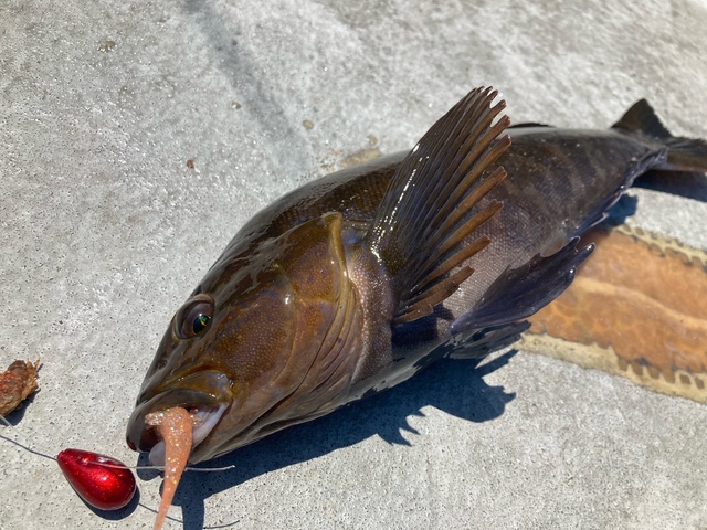 つり具の上州屋 - あなたのフィッシング＆アウトドアライフをサポート
