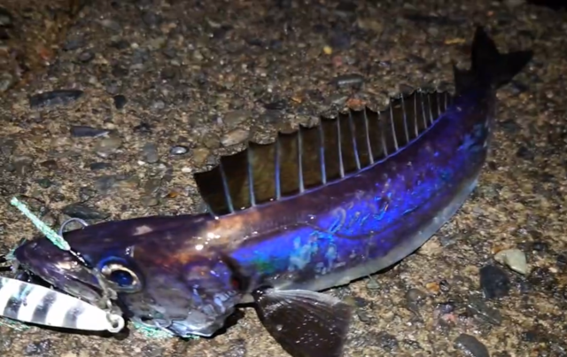 つり具の上州屋 - あなたのフィッシング＆アウトドアライフをサポート