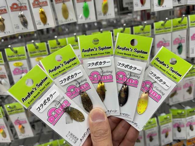 専用ブルーサイカスセット　アングラータ　デソラタ　コウツシアーナ 専用ブルーサイカスセット アングラータ デソラタ コウツシアーナ 激