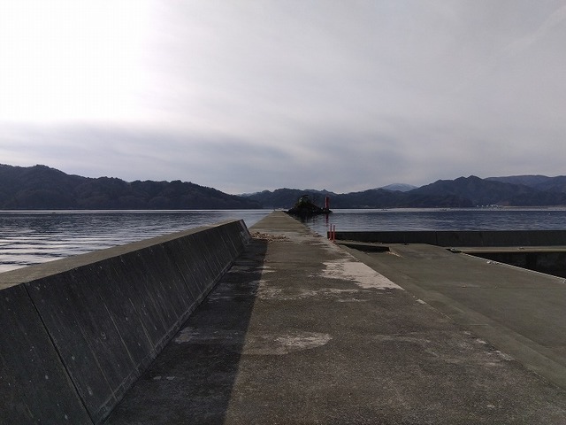 楽しめそうだと思ったのですが・・・