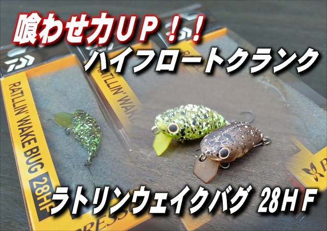 なつきち　atom170f 株式会社DSTYLE 公式サイト