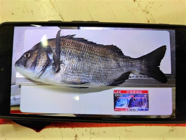 つり具の上州屋 - あなたのフィッシング＆アウトドアライフをサポート