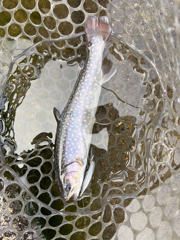 つり具の上州屋 - あなたのフィッシング＆アウトドアライフをサポート